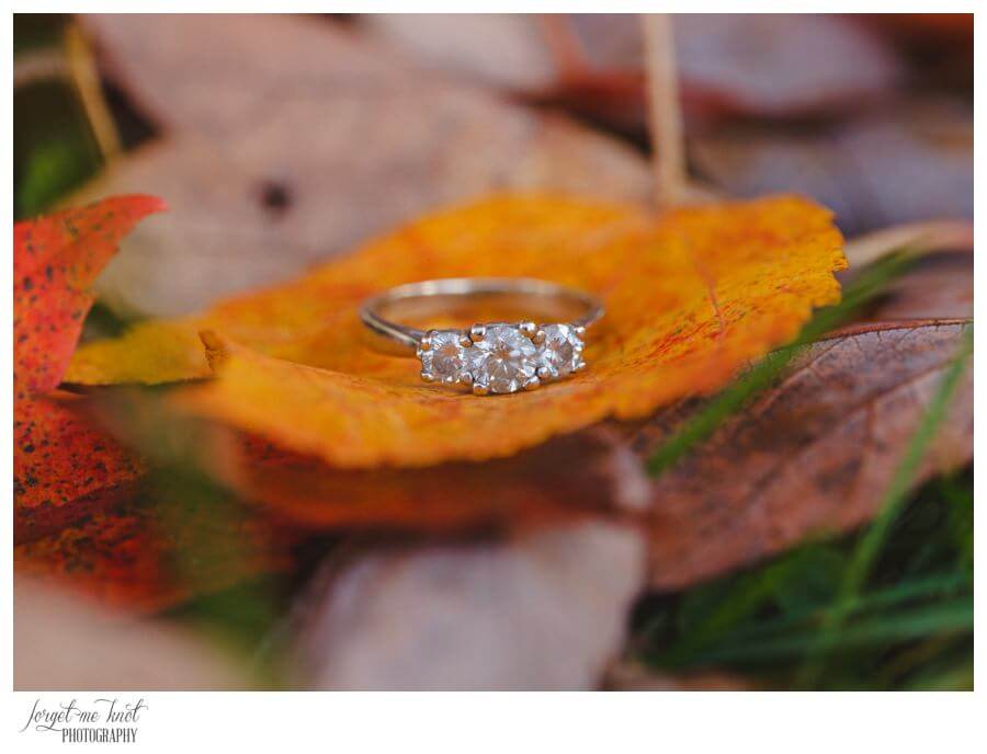 engagement ring on fall leaves