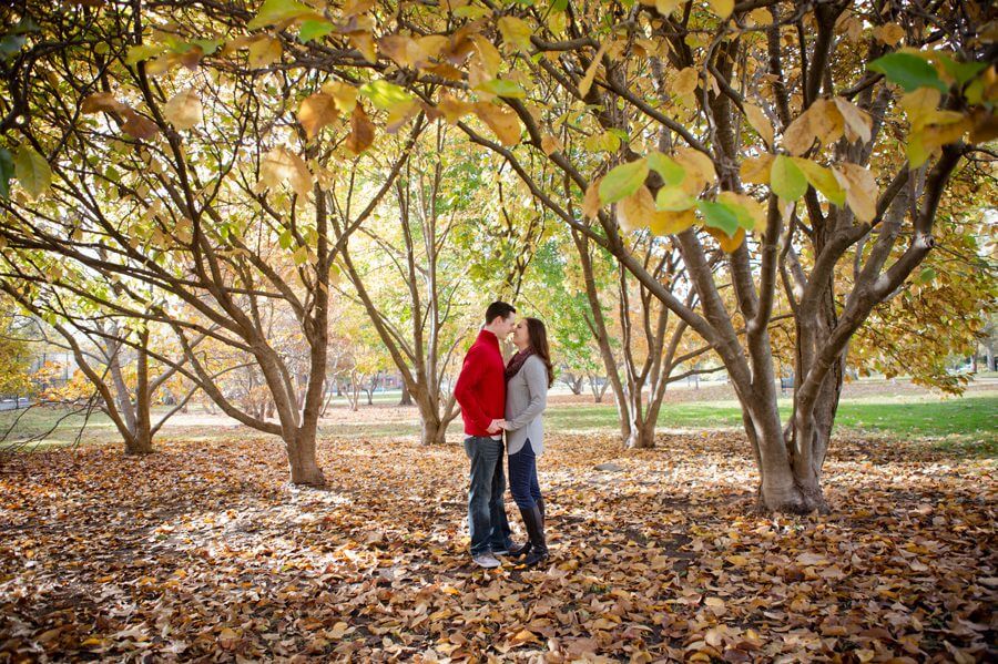 engaged couple kissing photo at goodale park