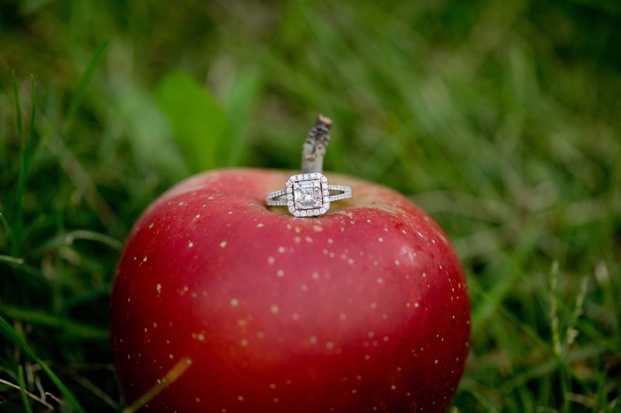 Lynd's Fruit Farm Engagement ring on apple 