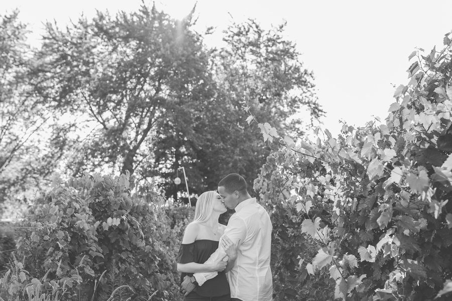 engaged couple kissing in middle of vineyard