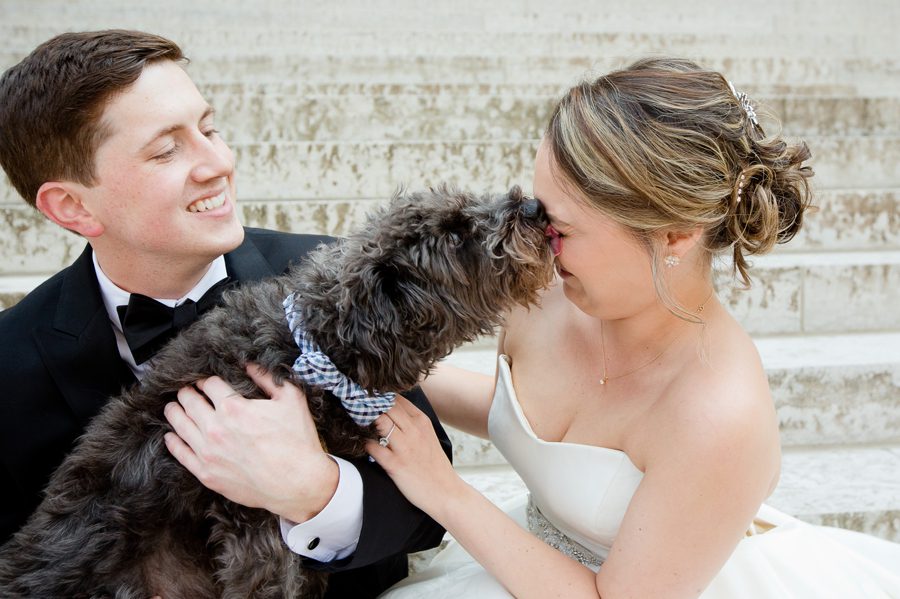 wedding puppy kisses at ohio statehouse