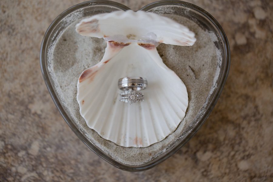 wedding rings inside a shell