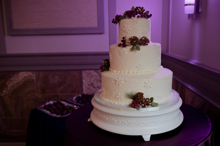 winter theme wedding cake at Noah's Event Venue wedding