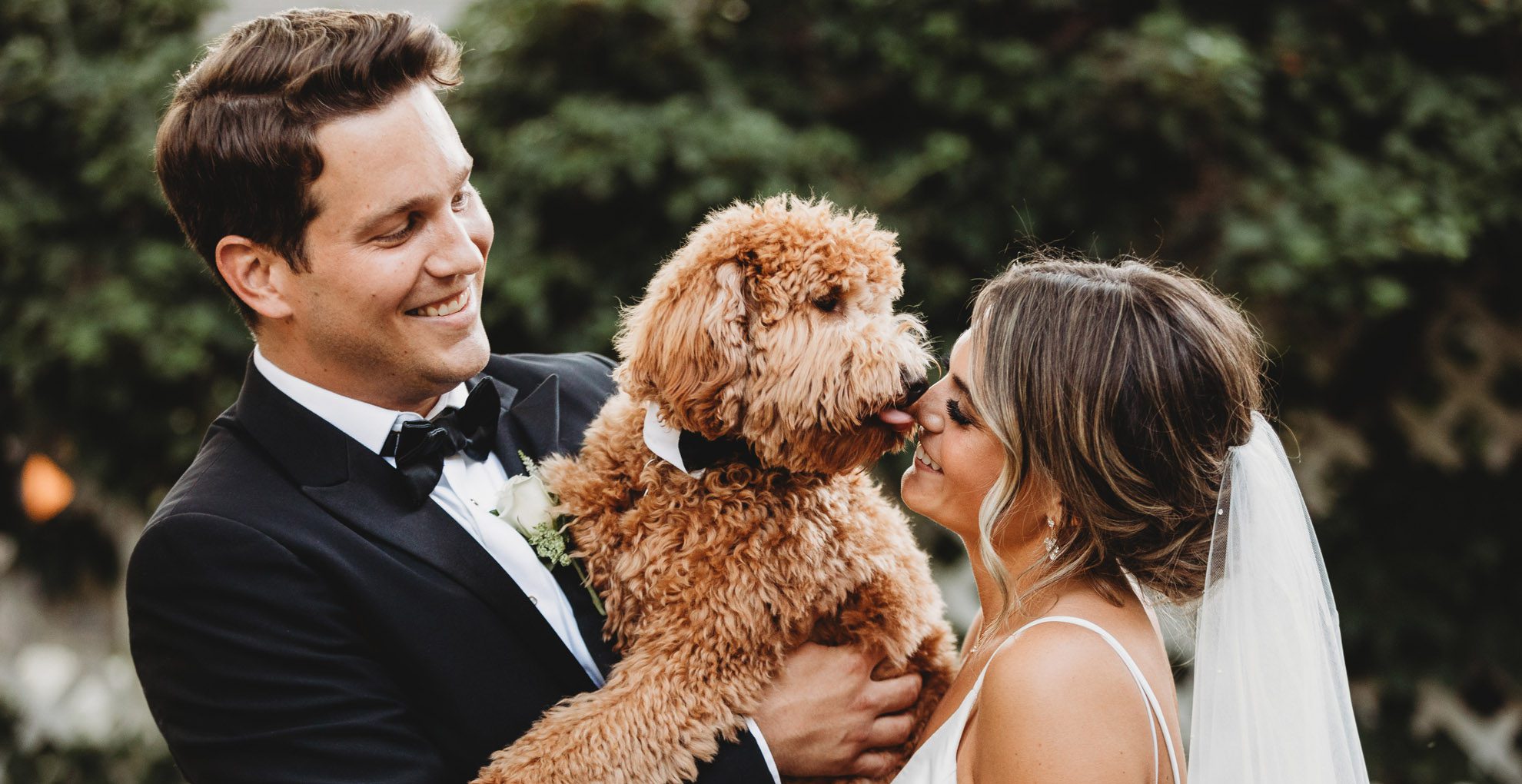 dog kissing bride at backyard wedding