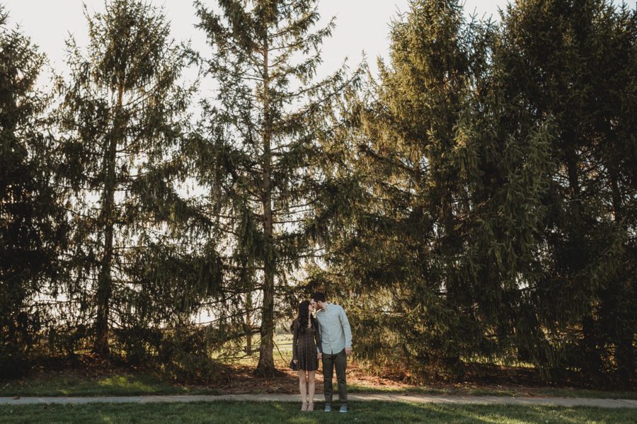 wide image of engaged couple kissing with pine trees