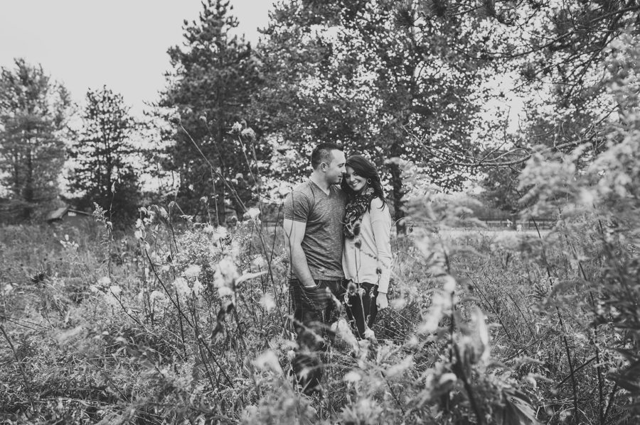 black and white image of engaged couple snuggling in a milkweed field