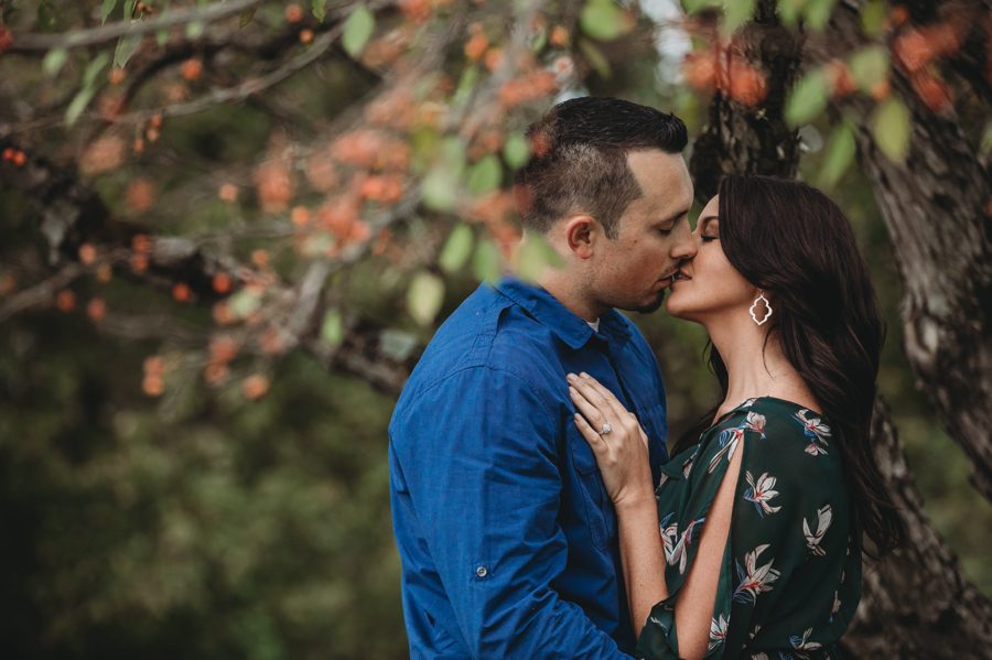 engaged couple kissing under crab apple tree